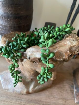 Cabeza busto escultura para poner planta maceta