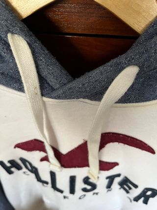 Hoodie Hollister