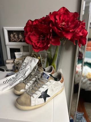 Golden goose 