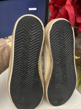 Golden goose 