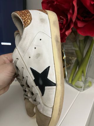 Golden goose 