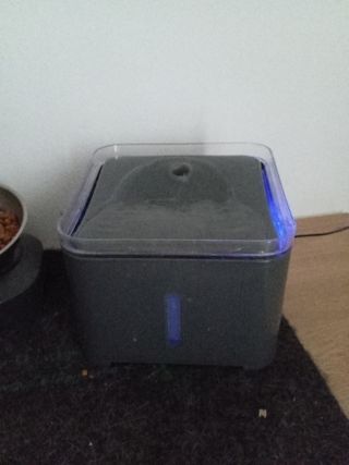 Fontanella acqua per gatti