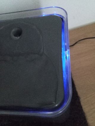 Fontanella acqua per gatti