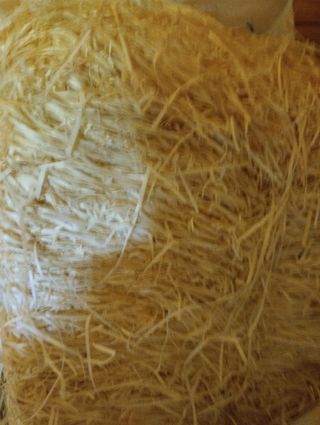 Verutas de madera 