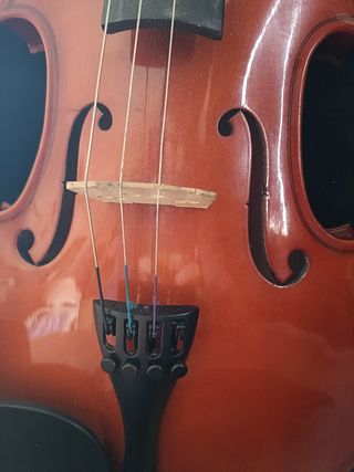 Violín