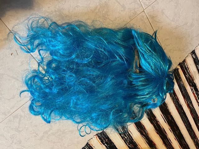 Disfraz tutu medias y peluca