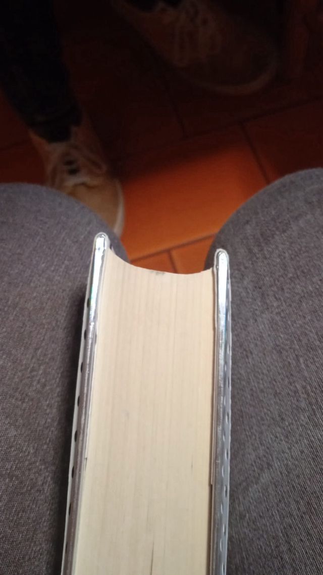 Memorias de Idhún: La resistencia