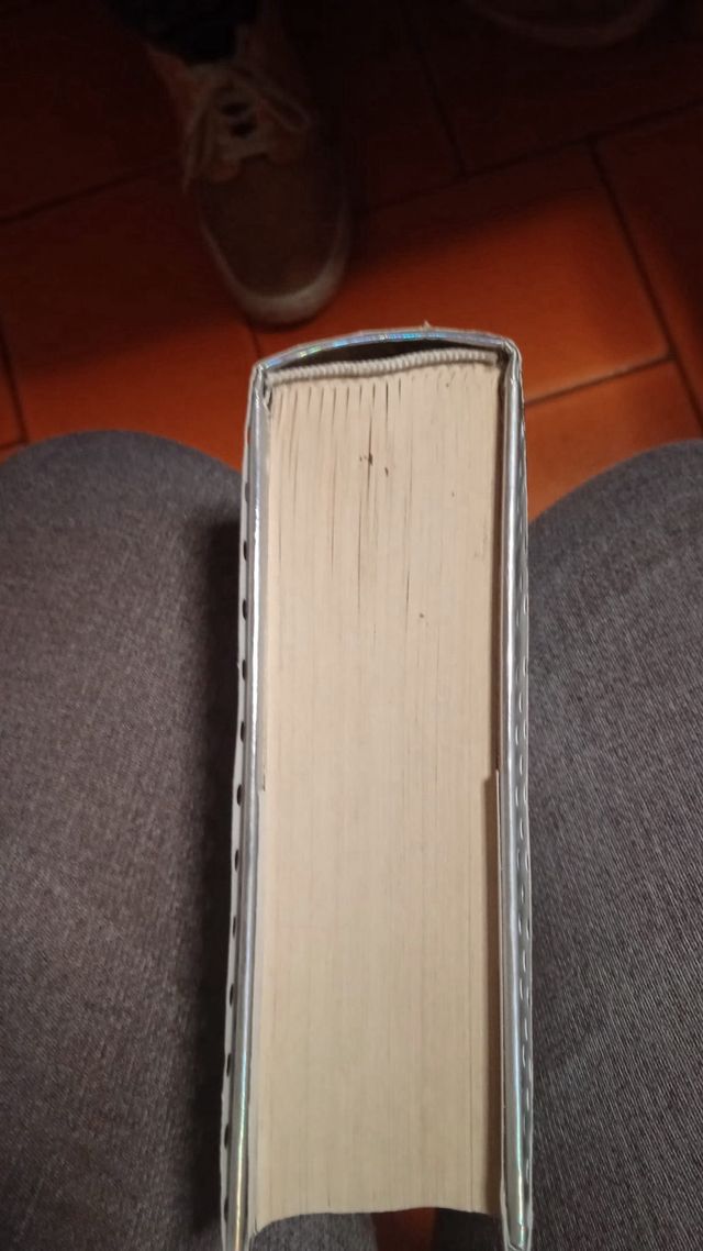 Memorias de Idhún: La resistencia