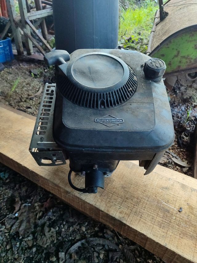 Motor briggs stratton outils wolf
