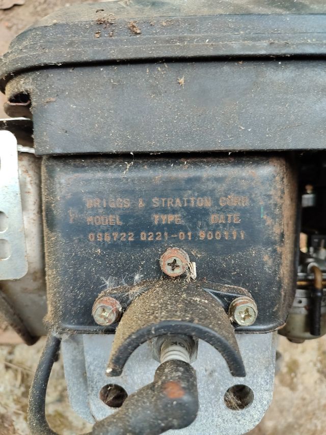 Motor briggs stratton outils wolf