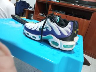 Tenis