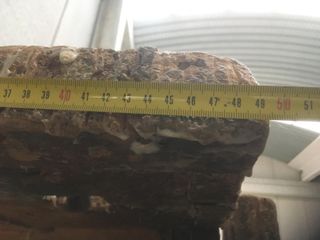 Banco de carpintero antiguo