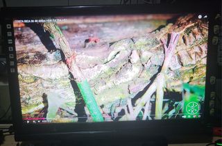 Tv sanyo hd 22 pulgadas.