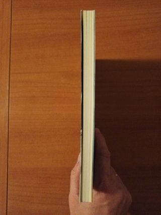 LA MASCARA DE PLATA MAGISTERIUM