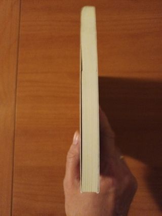 LA MASCARA DE PLATA MAGISTERIUM