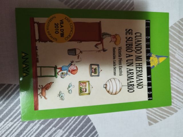 Cuando mi hermano se subió a un armario