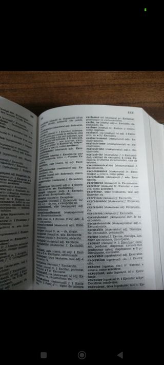 Diccionario Francés