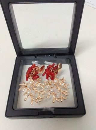 Pendientes corales
