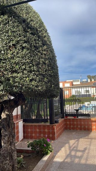 Mantenimiento jardineria
