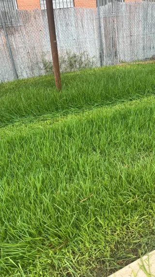 Mantenimiento jardineria