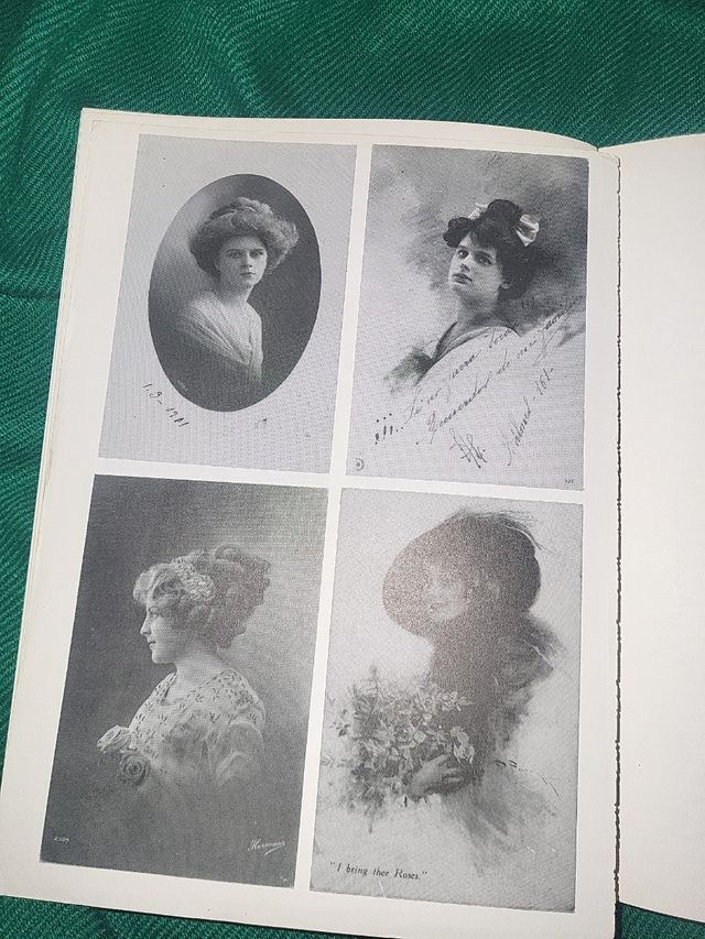 Libro la fuente de las tortugas