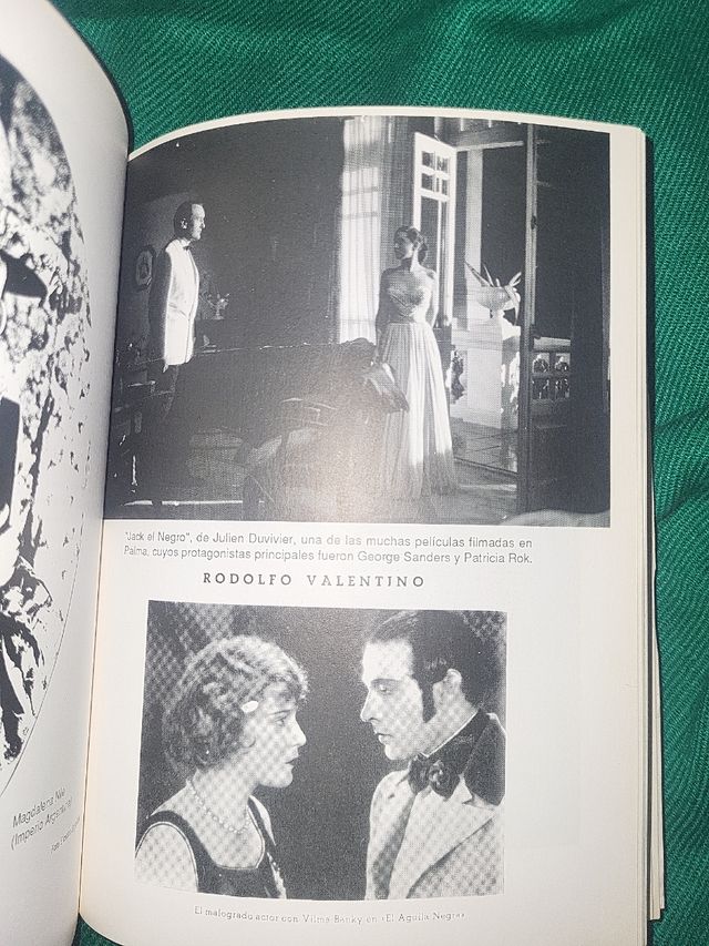 Libro la fuente de las tortugas