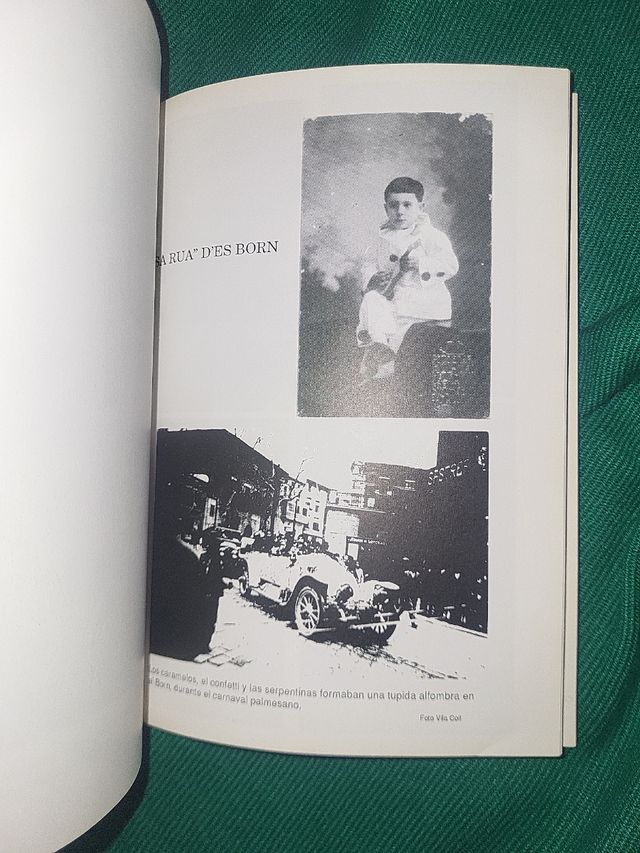 Libro la fuente de las tortugas