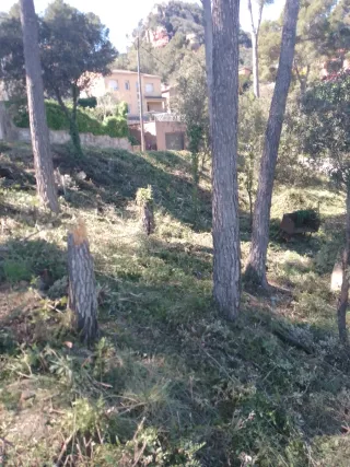 Terreno edificable a dos calles