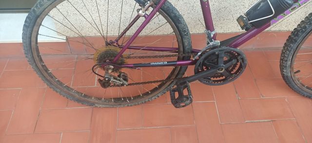 Cuadro bicicleta Monty