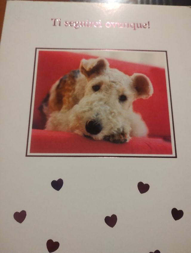 Hallmark 6 biglietti augurali nuovi