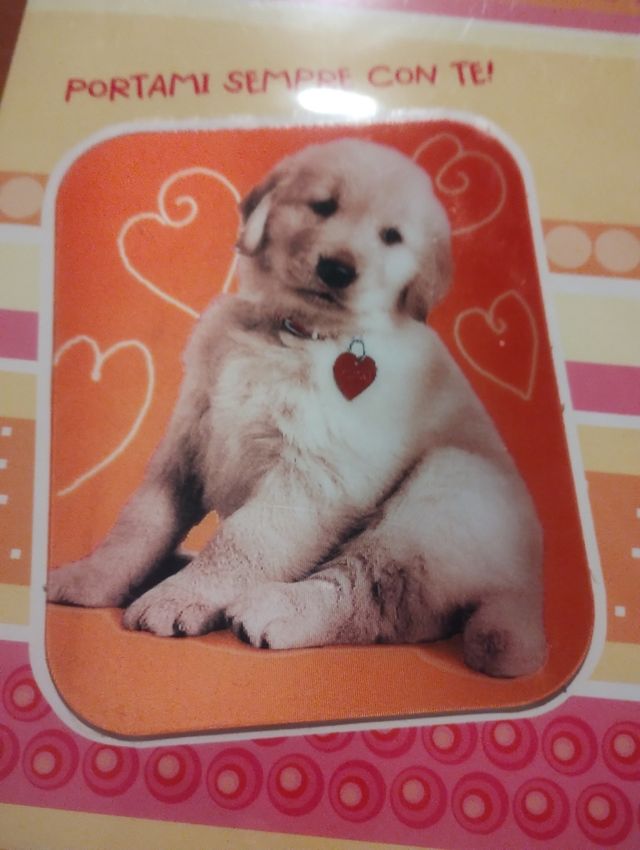 Hallmark 6 biglietti augurali nuovi