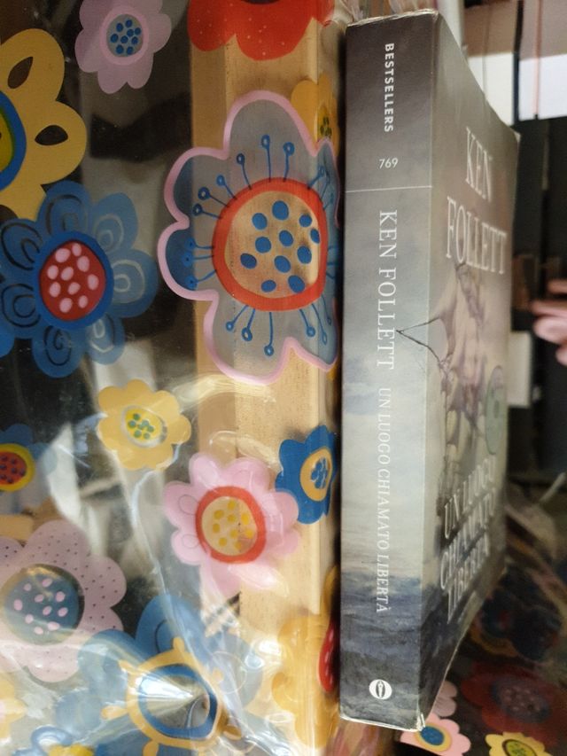 Un Luogo Chiamato Liberta (Oscar Bestsellers) (Italian Edition)