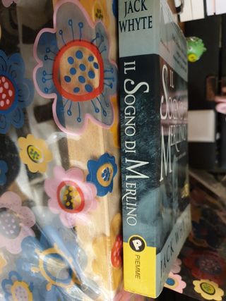 Il sogno di Merlino. Le cronache di Camelot vol.4