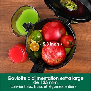 Fretta Juicer Slow Juicer Apertura XXL 135mm 18L