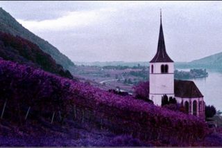 Lomography lomocromo Purple carrete