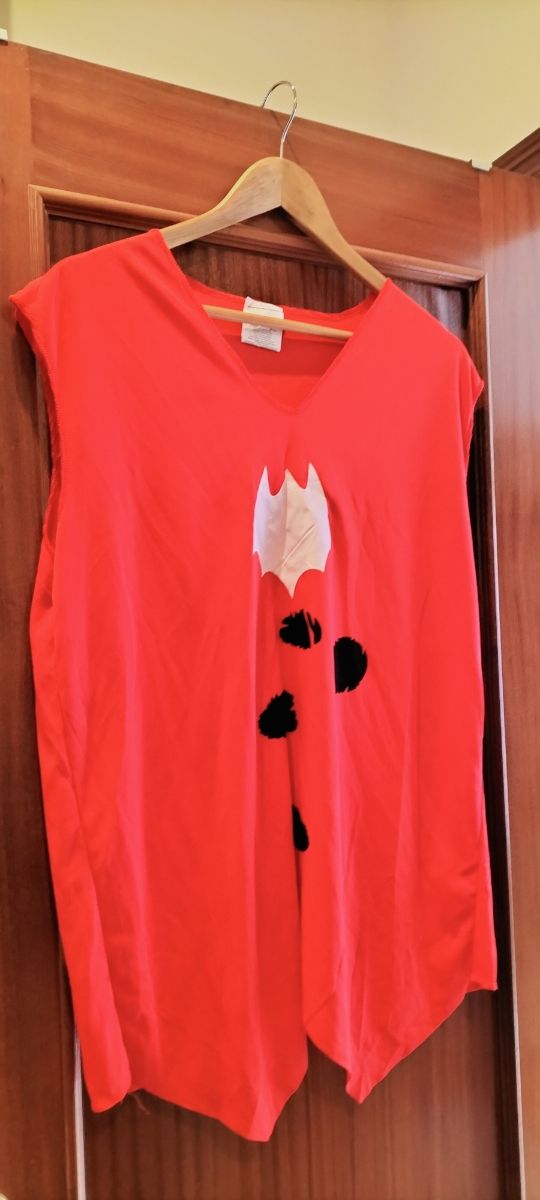 Varios disfraces niño 