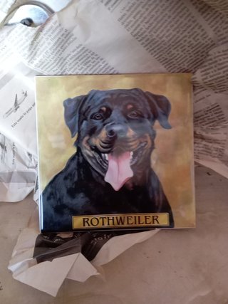 Azulejo Rothweiler