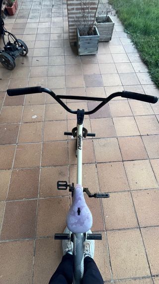 BMX Sunday Street Sweeper