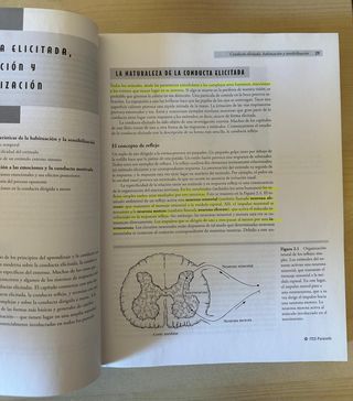 Principios de aprendizaje y conducta