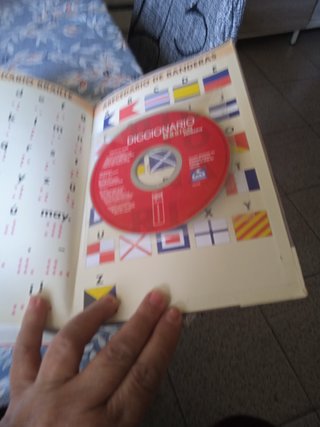 Diccionario Basico Primaria (Educacion Primaria): Diccionario + CD (Spanish E...