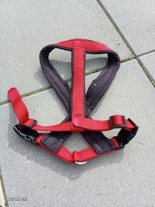 Coleira para cães tamanho médio