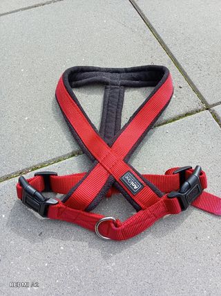 Coleira para cães tamanho médio