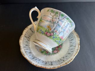 Set Te “Silver Birch” Royal Albert