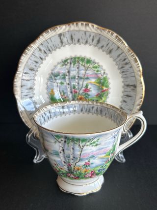 Set Te “Silver Birch” Royal Albert