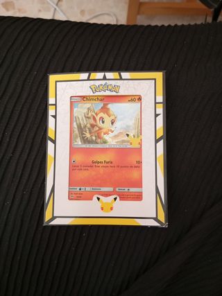 Carta Pokémon y mini cuadro