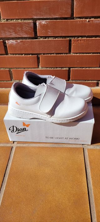 Zapatos Trabajo DIAN