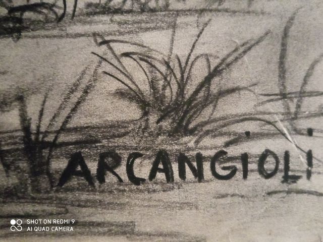 Disegno a carboncino G.Arcangioli