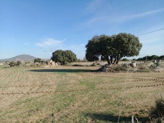 Se vende tierra en Sonseca.