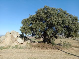 Se vende tierra en Sonseca.