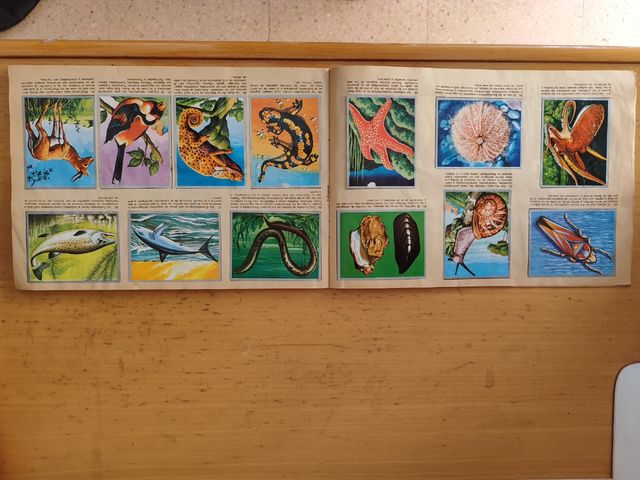 Album completo Zoología y Botanica 